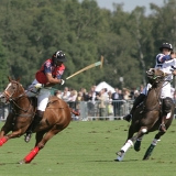 Polo, Commercial Wedding Photographers: Photoscience.co.uk